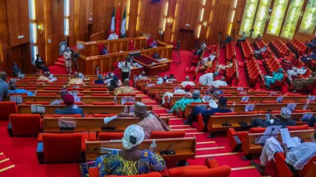 Senate Advances Bill Mandating Social Media Platforms to Establish Physical Offices in Nigeria