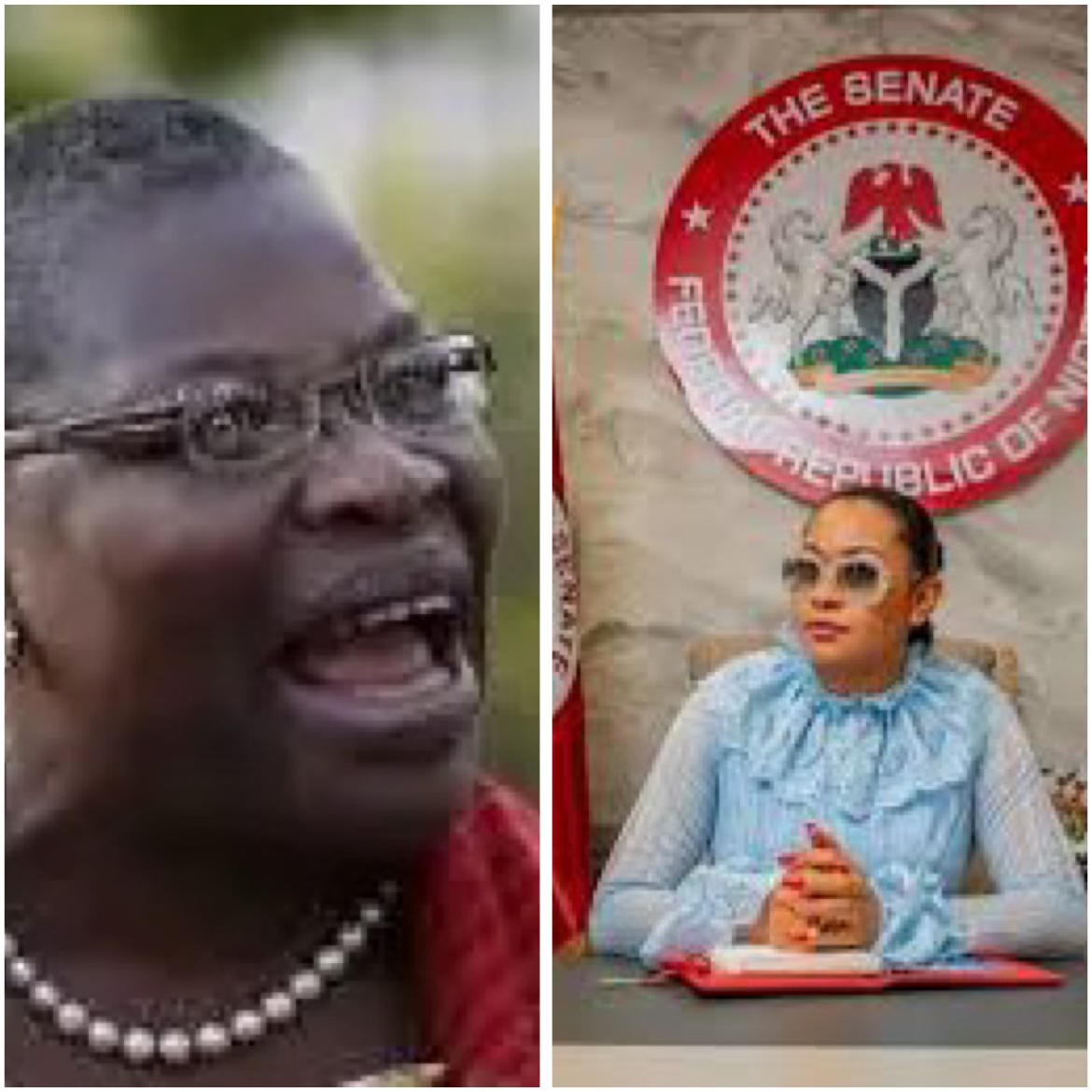 Oby Ezekwesili Accuses Nigerian Senate of Desecration Amid Suspension of Senator Natasha Akpoti-Uduaghan