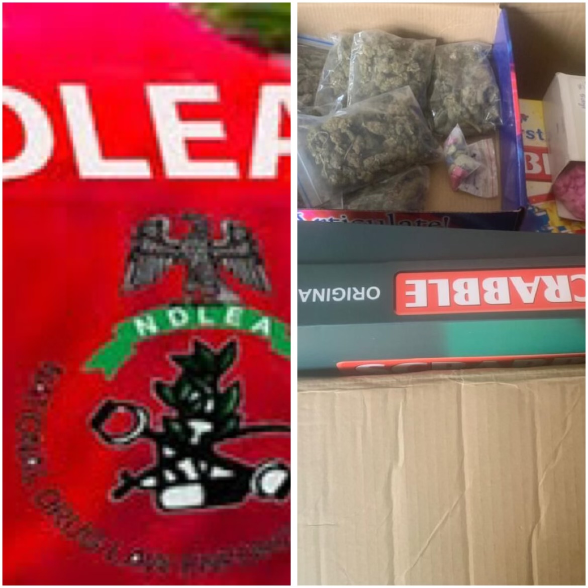 NDLEA Intercepts Holy Land-Bound Cocaine, Other Illicit Drugs; Arrests Two Suspects