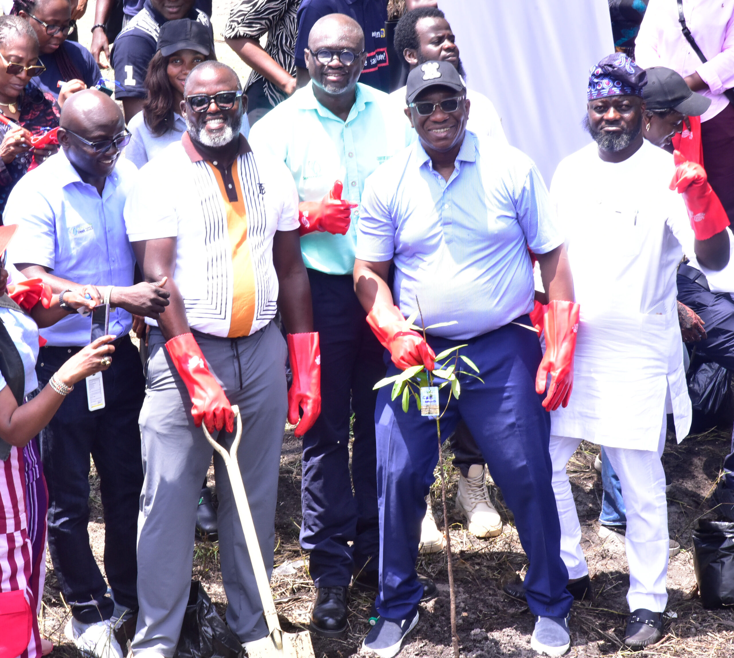 Dangote Group Leads Coastal Restoration Drive in Lagos”